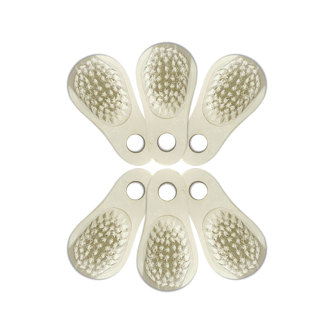 Round Detailing Brush (Pack of 6)