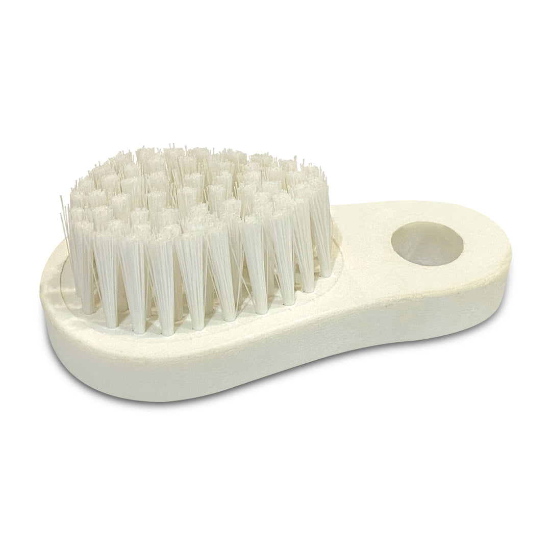 Round Detailing Brush (Pack of 6)
