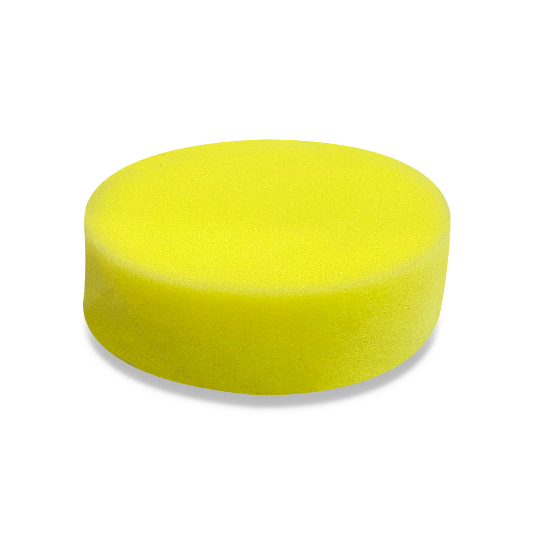 Wax Foam Applicator (Pack of 6)